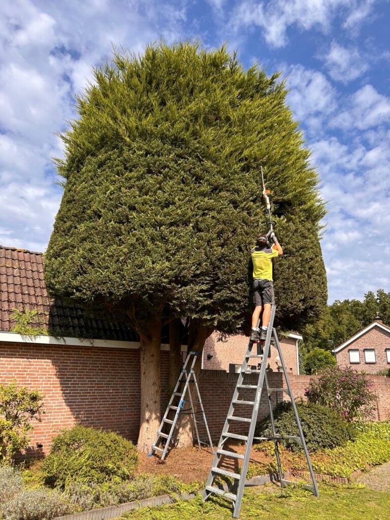 Tuinonderhoud door Luijkx Hoveniers