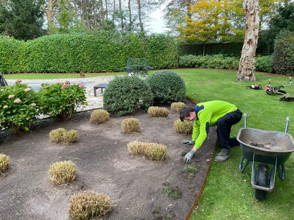 Tuinonderhoud door Luijkx Hoveniers