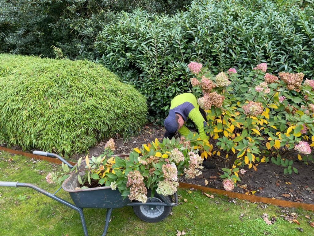 Tuinonderhoud door Luijkx Hoveniers
